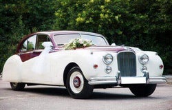 starting a wedding car hire business